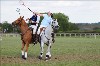 UKPA  NC Sat_1463